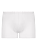 Boxer ragno