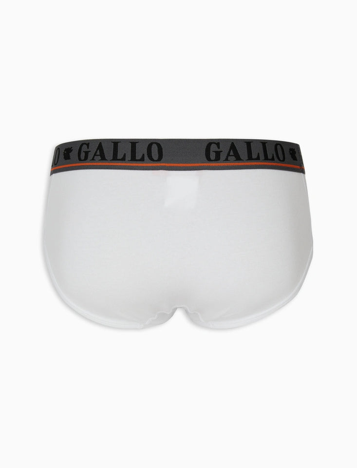 Slip Gallo AP51084