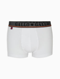 Boxer Gallo AP51084