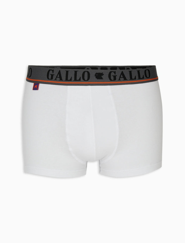 Boxer Gallo AP51084