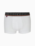 Boxer Gallo AP51084