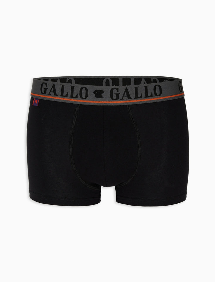 Boxer Gallo AP51084
