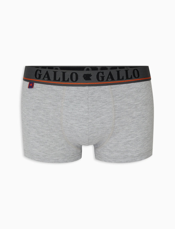 Boxer Gallo AP51084