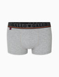 Boxer Gallo AP51084