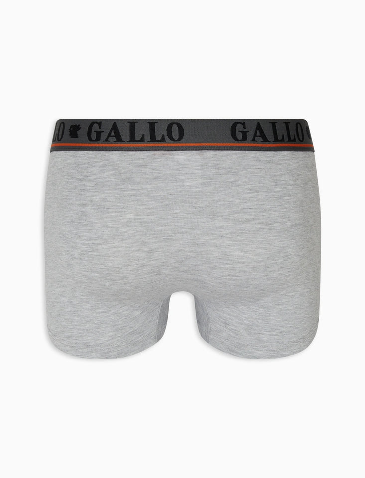 Boxer Gallo AP51084
