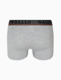 Boxer Gallo AP51084